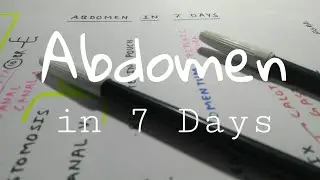Abdomen Anatomy in 7 Days | The Charsi of Medical