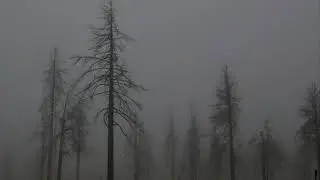 Abyssmal Sorrow - Bound In Lifeless Affliction (2008)