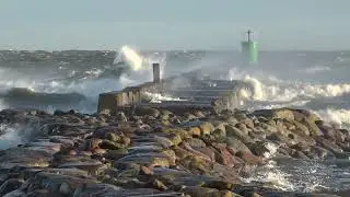 Vētra 28.12.2025. Rojā.