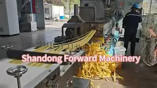 Live Test of Our Integrated Fried Snack & Puffing Extruder!