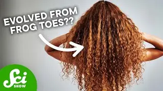 Your Gorgeous Hair Evolved From Frog Toes