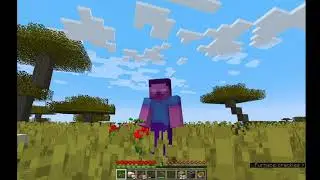 TehNoiceBoi's Blocky Adventures, Chapter 1: The Miner