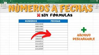 Como convertir N&Uacute;MEROS A FECHAS sin f&oacute;rmulas en Excel