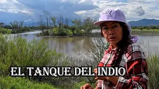 POR QUÉ LES SALEN CABELLOS A LAS VERDOLAGAS? ESTA ES SU LEYENDA