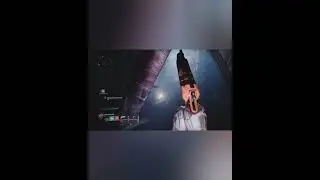 SALA OCULTA: El secreto de Cayde-6 que pocos recuerdan 🐾💜