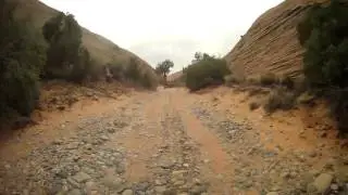 Poison Spider Mesa POV VIII