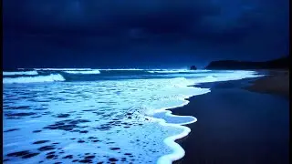 Let your tired soul rest tonight 🌊 | Ocean sounds for deep sleep and relaxation