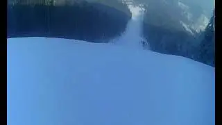 Dzikowiec tylko dla orłów !!!