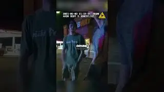 High Teen Crashes Into Traffic Light 🚦😳