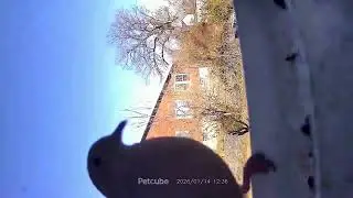 Birds Feeder Cam. The wind knocked it over till I got home. 😊