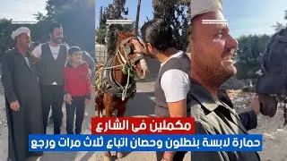 مكملين فى الشارع  حمارة لابسة بنطلون وحصان اتباع ثلاث مرات ورجع | #ارحم_تكسب