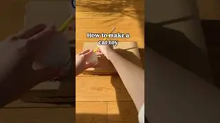 Make a super easy cat toy at home for your kitty🙀🐾 Follow for more🐈&zwj;⬛ #cat #catlover #catshorts