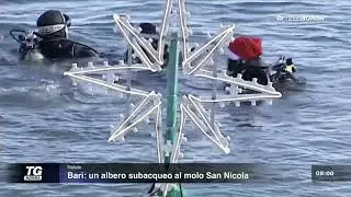 TG Norba | Christmas Dive 2025