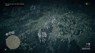 RDR2 Online - Easy Creeping Thyme locations by Valentine