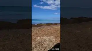 The beach in Negril this week after the 🌧 😳 #jamaica #negril #negriljamaica #beach #rain #west