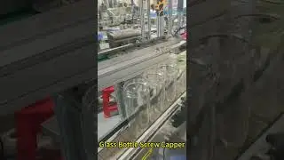 Best Budget Servo Capper for Small Factories | Single Head Automatic Capping with PLC System #Shorts