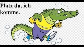 Spur N, das alte Krokodil von Arnold