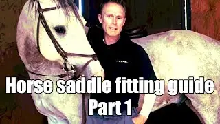 Horse saddle fitting guide (Part 1)