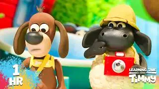 🤔 WHAT IS TIMMY LOOKING AT? | CARTOON FOR KIDS | Learning Time with Timmy