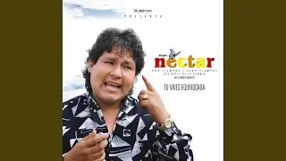Terco corazón