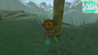 Zelda: Tears of the Kingdom [Switch 2] #134, Kakariko Village: Follow the Cuccos; Lake Siela