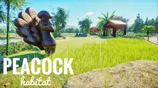 Peacock | Planet Zoo