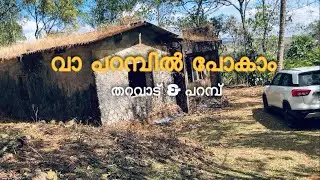 വാ പറമ്പിൽ പോകാം🍃😁|തറവാട്ടിൽ പോയി🏡പറമ്പിലെ കാപ്പിക്കുരു പറിക്കൽ|Old home visit filled with nostalgia