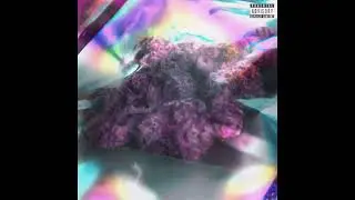 A$AP Zenith - Through The Bag [Official Audio] (prod. Pierre Bourne)