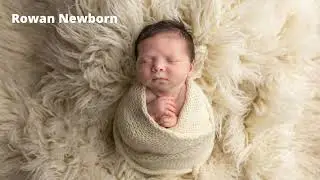 Fenton, Michigan Newborn Photographer: Rowan's Newborn Session