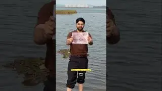 Digital snan of leopard 🐆, bibtya bhau 🙏😭 digital snan op