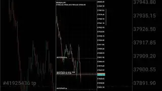 HFT Forex #ai #forex #hftrobot #bitcoin #cryptocurrency #trading #kenya #forex #viral #forextrading
