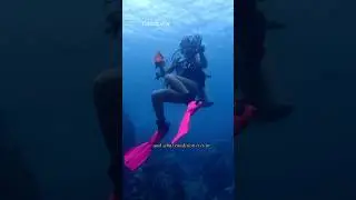 doing this can save you #scubatips #whitsundays #scubadiving scu