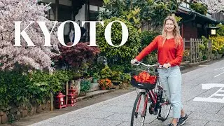 KYOTO TRAVEL GUIDE! 🇯🇵 Don't Skip This When Visiting Kyoto!