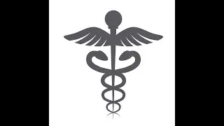 Why the Hay: Is There a Snake on the Hospital Pole Thingy?