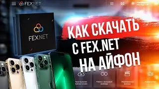 ✅ Как скачать файлы с Fex.net на Телефон iPhone