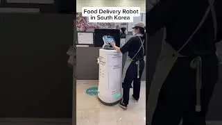 Food Delivery Robot in South Korea