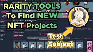 How To Find New Projects With Rarity.Tools | Research New NFT Projects & Minting Rabbit College Club