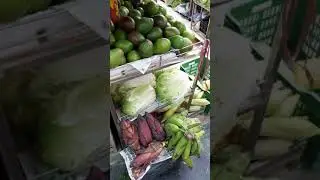 INA Market || Biggest meat market in India || Meats of the world || Meat n Fish market || Delhi haat