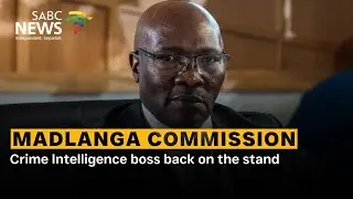 Madlanga Commission | Crime Intelligence boss back on the stand
