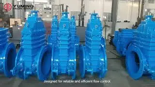 Yuming Gate Valve&mdash;&mdash;Well-known Chinese Trademark