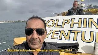 Dolphin Adventure Gibraltar November 2024
