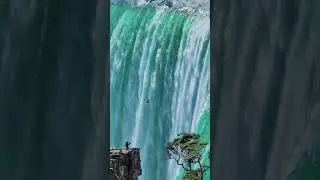 yeshin wal kuranul Hakim🤲🤲🤲🤲🤲#shorts#short#ytshorts #viralvideo #shortvideo #quranqoutes