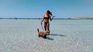 vacanze in Salento con la family e amico a 4 zampe 🐾