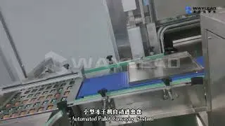 Automatic Plate Placing Robot Freeze Dryer
