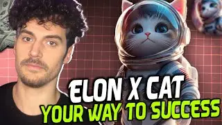🌌 Meet ElonXCat: The First Multi-Chain SpaceX-Inspired Meme Coin! 🌌