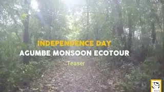 Independence Day - Agumbe Monsoon EcoTour