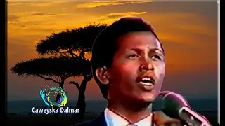 Xasan A. Samatar | Cashaqii  Ii Lumiye | ERYD M. C. Kaariye | LXNK X. A. Samatar | T.Q. 03-01-1980