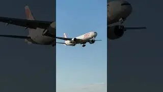 Swiss B777 Landing on Runway 14 at Zurich Airport #shorts #swiss #boeing #b777 #fyp