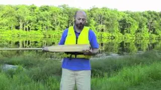 Types of Paddles