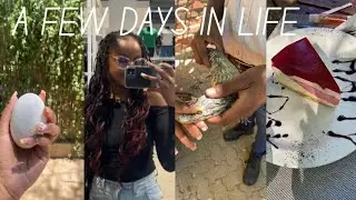 My first time in otjiwarongo||Crocodile farm + solo date || many more🤍🌷